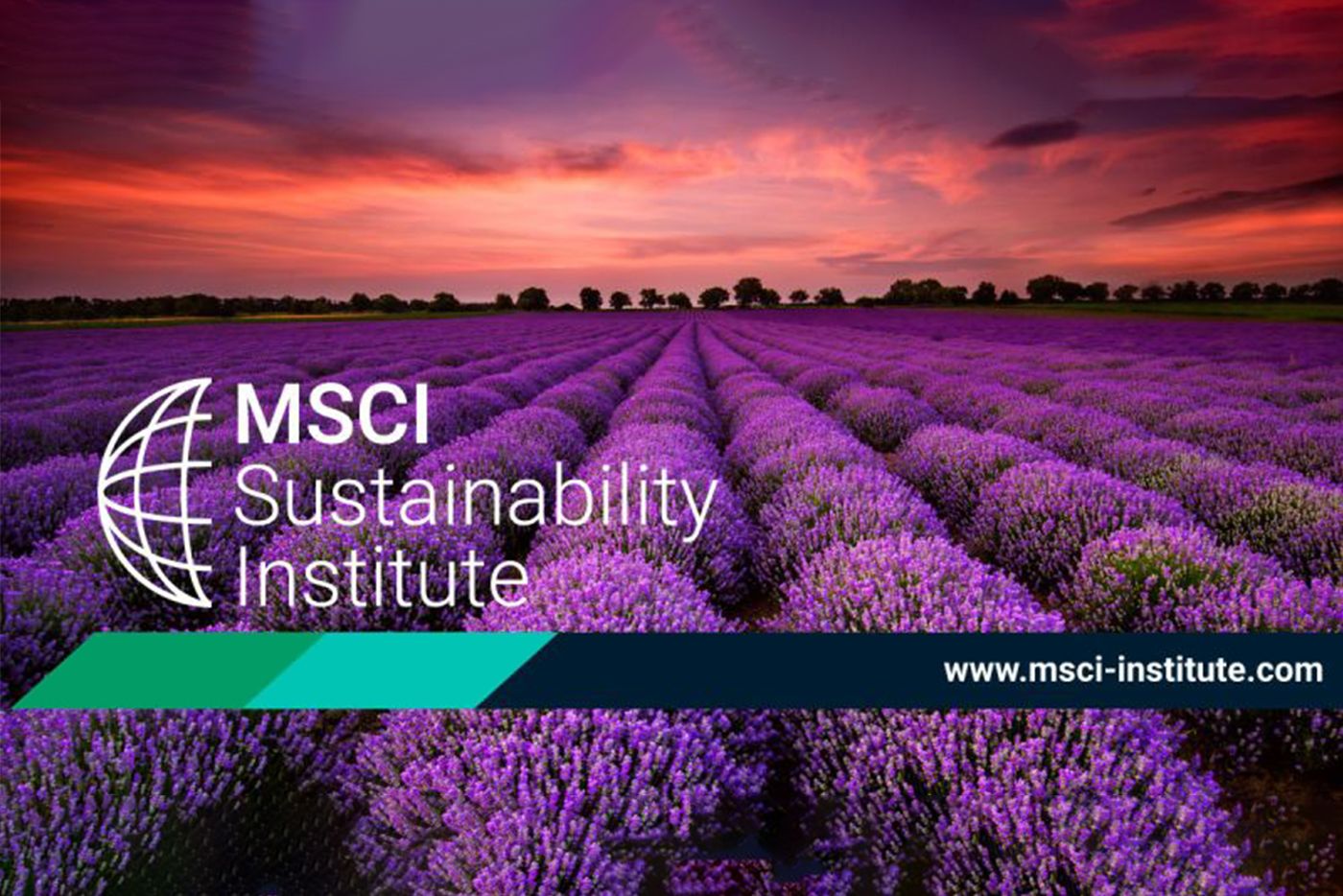 msci-institute-careersblog.jpg