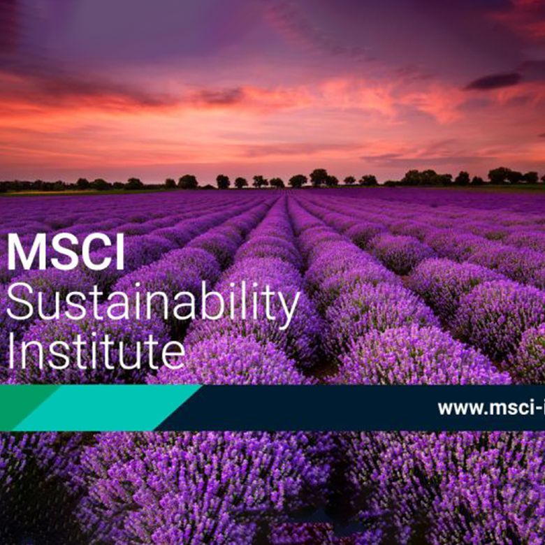 msci-institute-careersblog.jpg