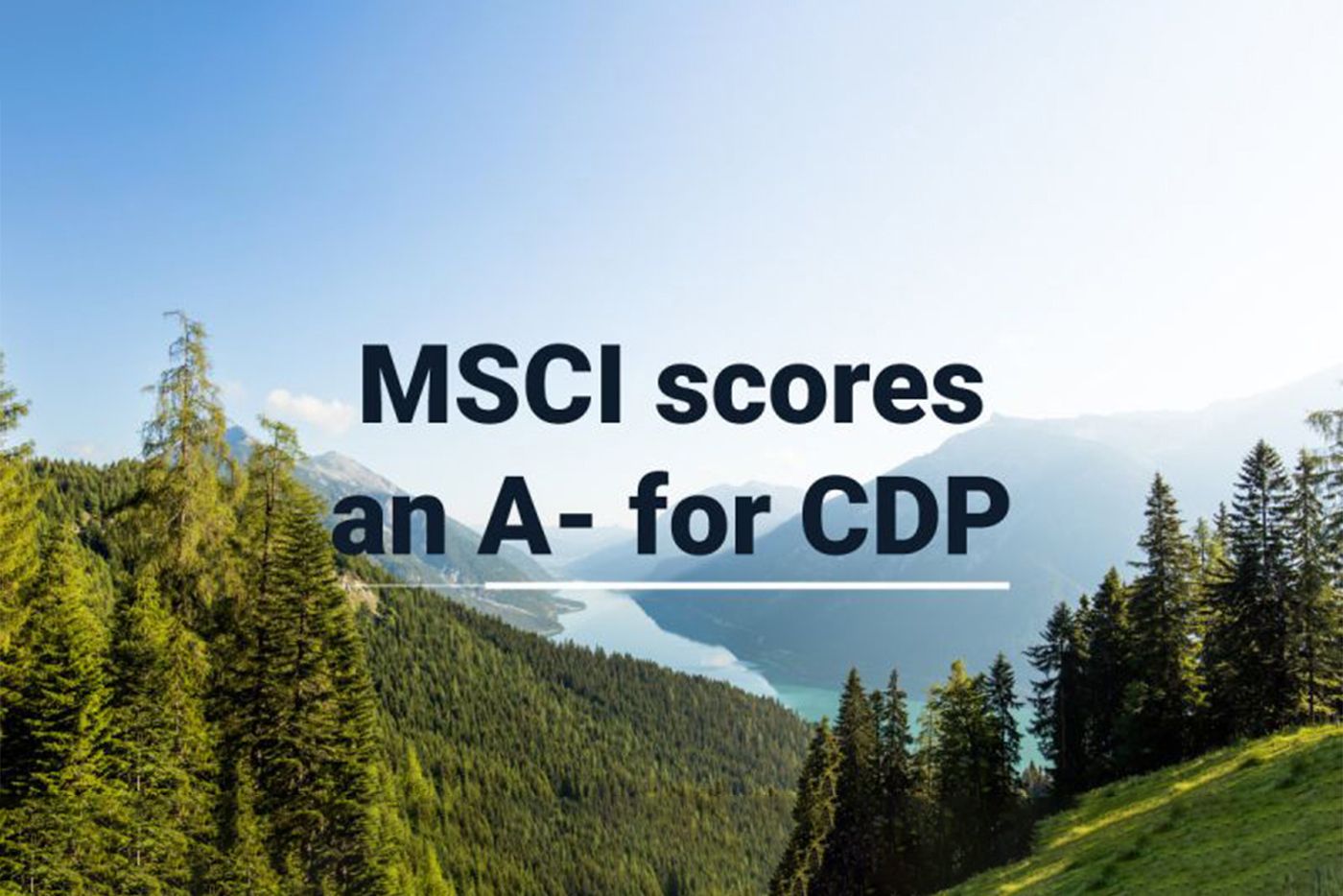 Job Categories MSCI Careers