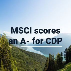CDP.jpg